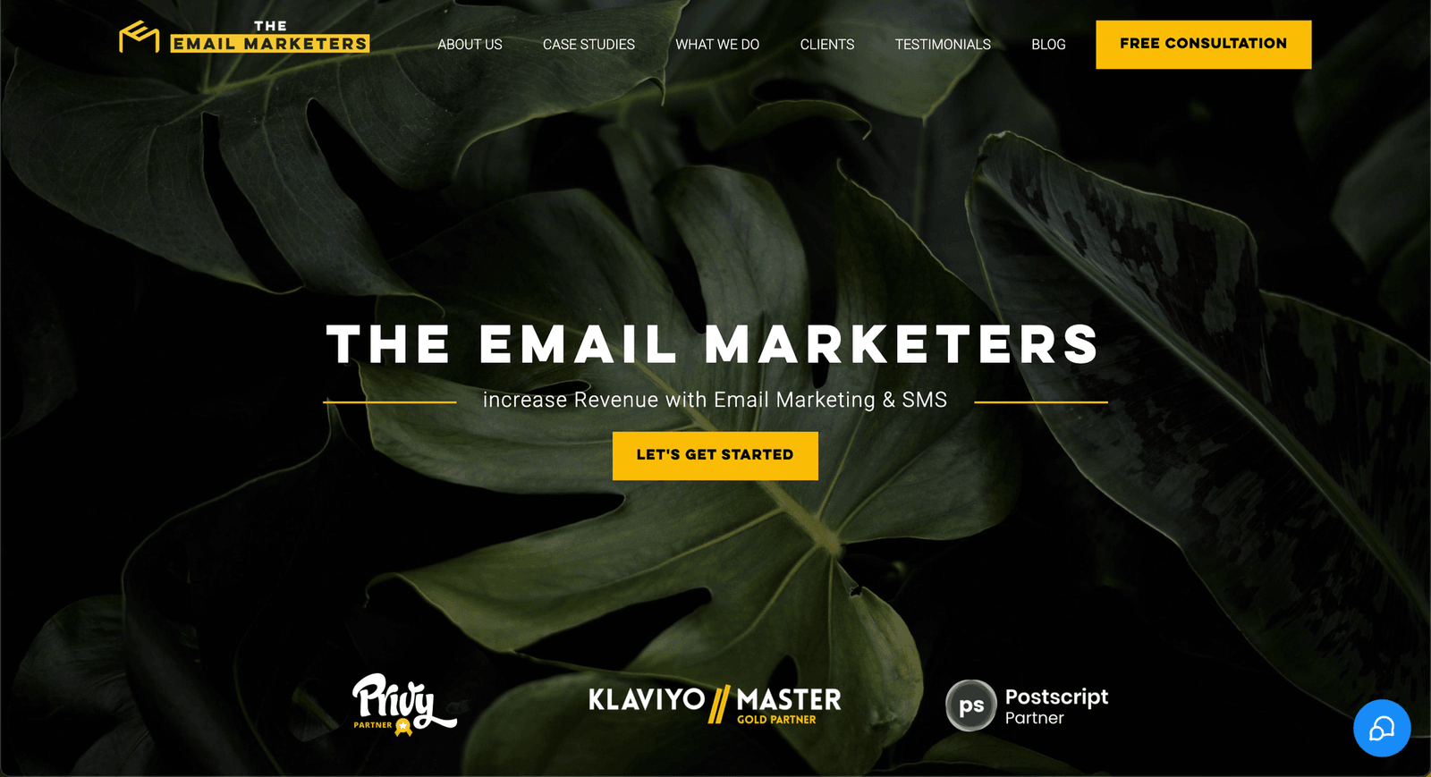 Screenshot of The Email Marketers homepage: increase revenue with email marketing and SMS