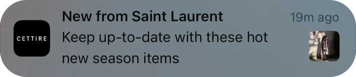 Cettire push notification: New from Saint Laurent. Keep up-to-date with these hot new season items