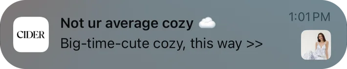 Cider push notification: Not ur average cozy. Big-time-cute cozy, this way >>
