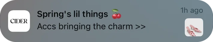 Cider push notification: Spring's lil things. Accs bringing the charm >>