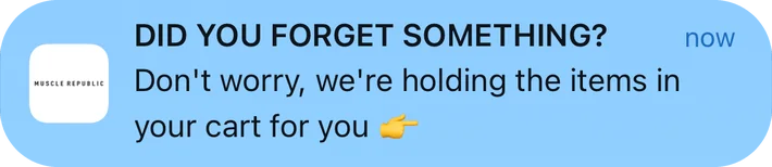 Muscle Republic push notification: DID YOU FORGET SOMETHING?. Don't worry, we're holding the items in your cart for you