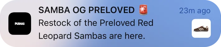 Pushas push notification: SAMBA OG PRELOVED. Restock of the Preloved Red Leopard Sambas are here.