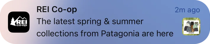 REI Co-op push notification: REI Co-op. The latest spring & summer collections from Patagonia are here